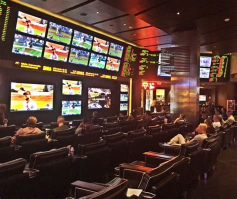 hollywood sports book